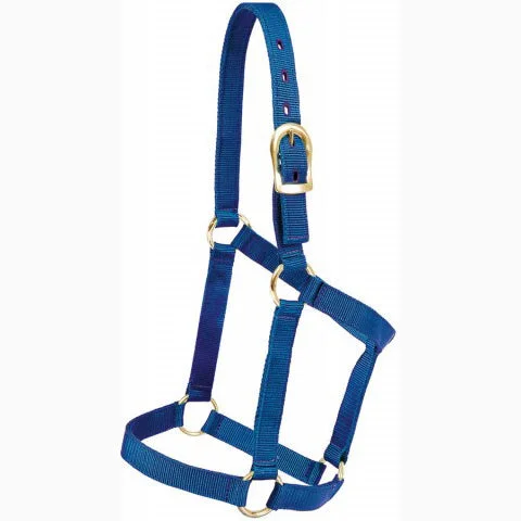 Mustang Blue Poly Regular Economy Halter