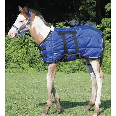 Weaver Blue Foal Blanket